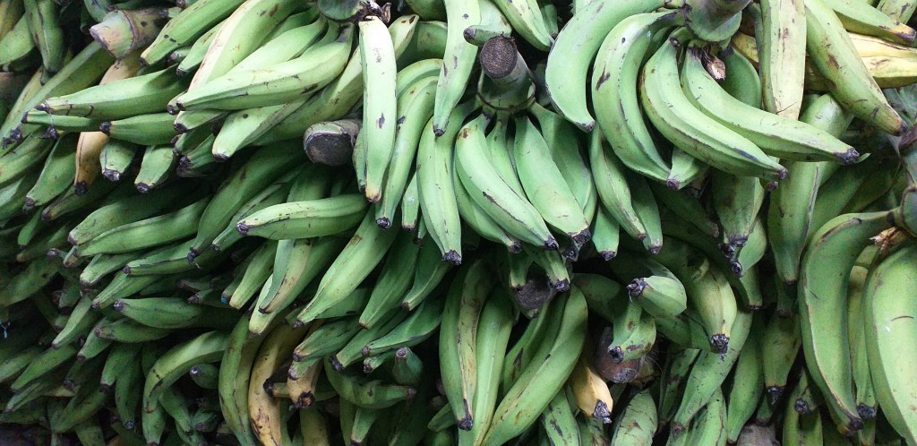 Platano verde