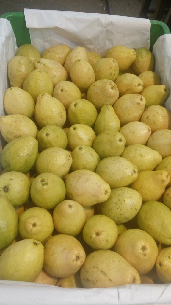 Guayaba pareja