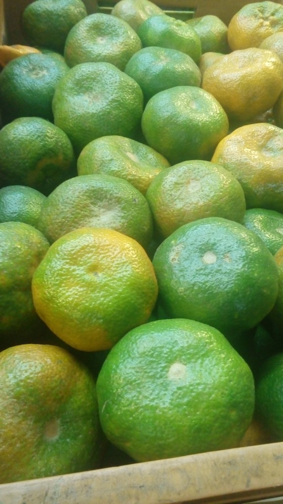 Mandarina lisa