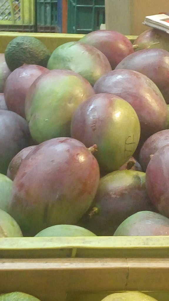 Mango tommy selecto