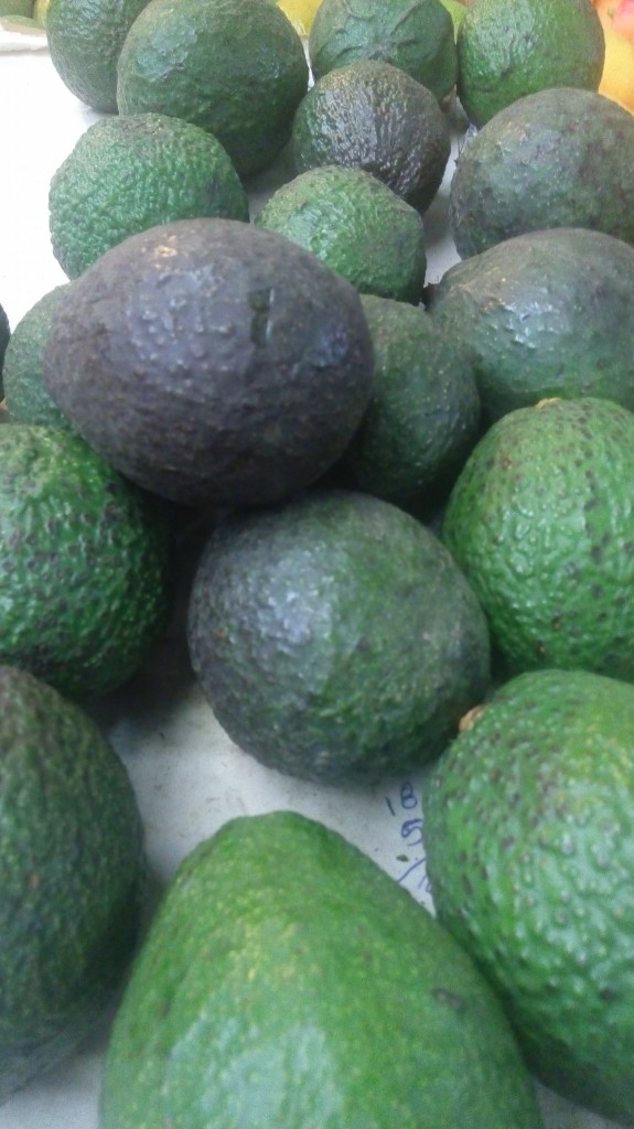 Aguacate Hass