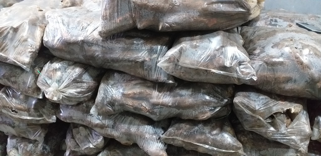 Yuca tierra negra/25kg