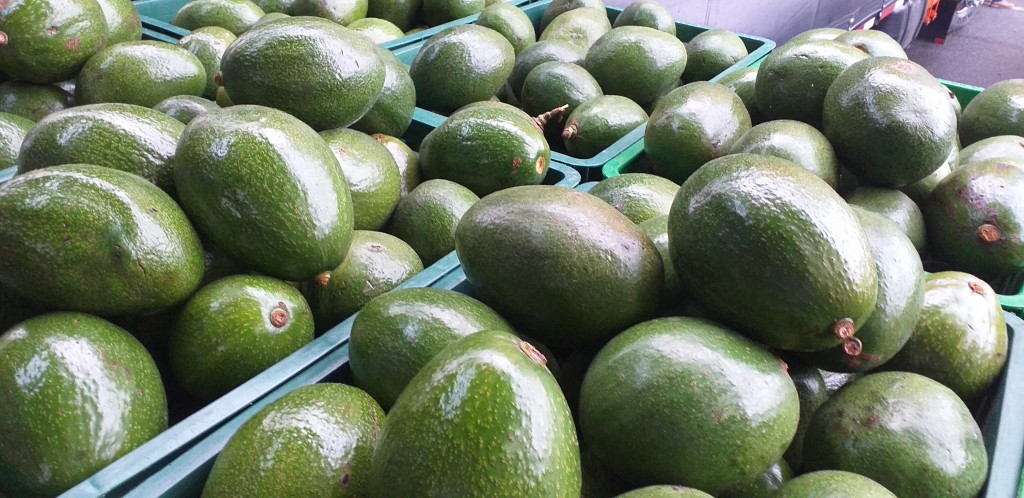 Aguacate choquette verde