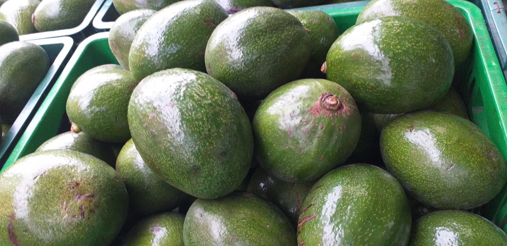 Aguacate choquette maduro