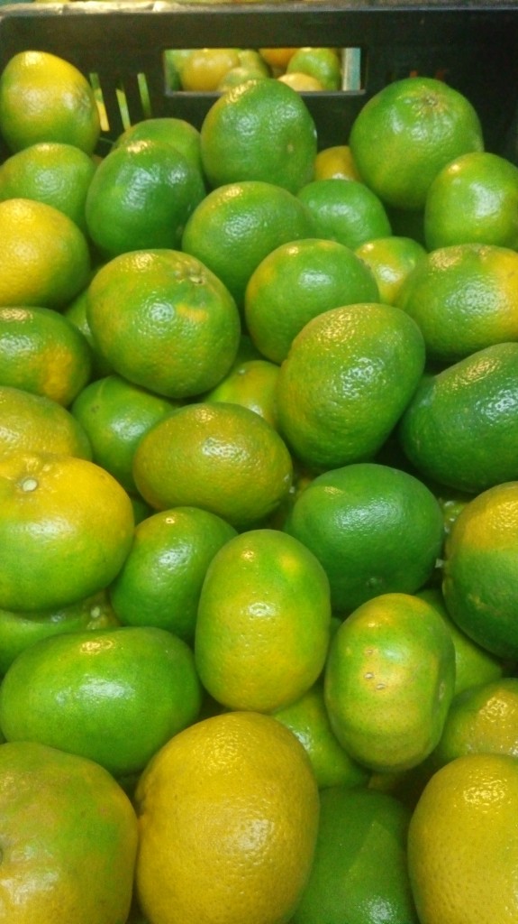 Mandarina arrallana