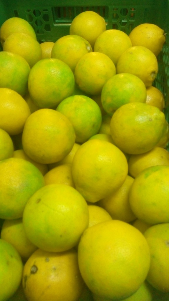 Naranja tangelo
