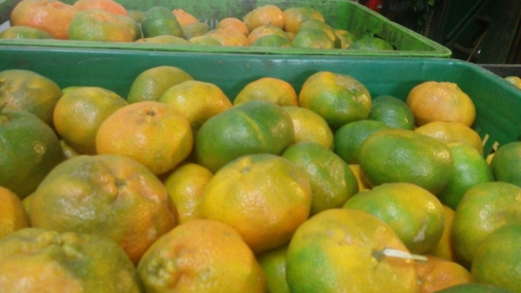 Mandarina israelí