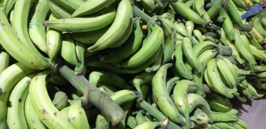 Platano verde