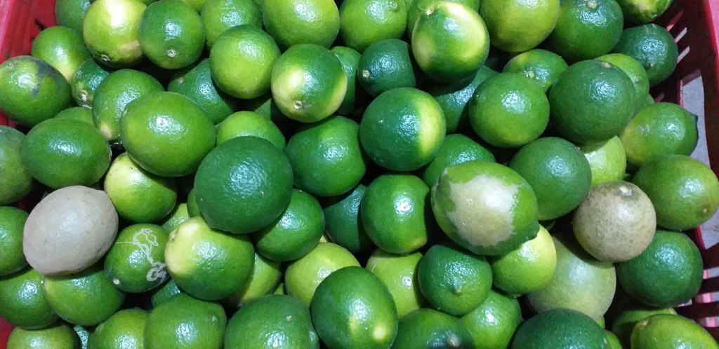 Limon tahiti 1ra