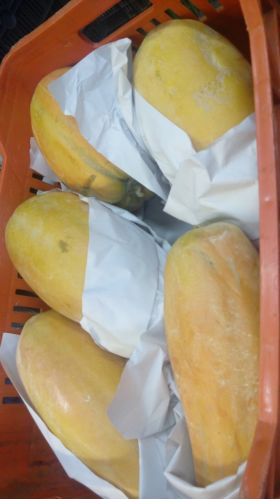 Papaya