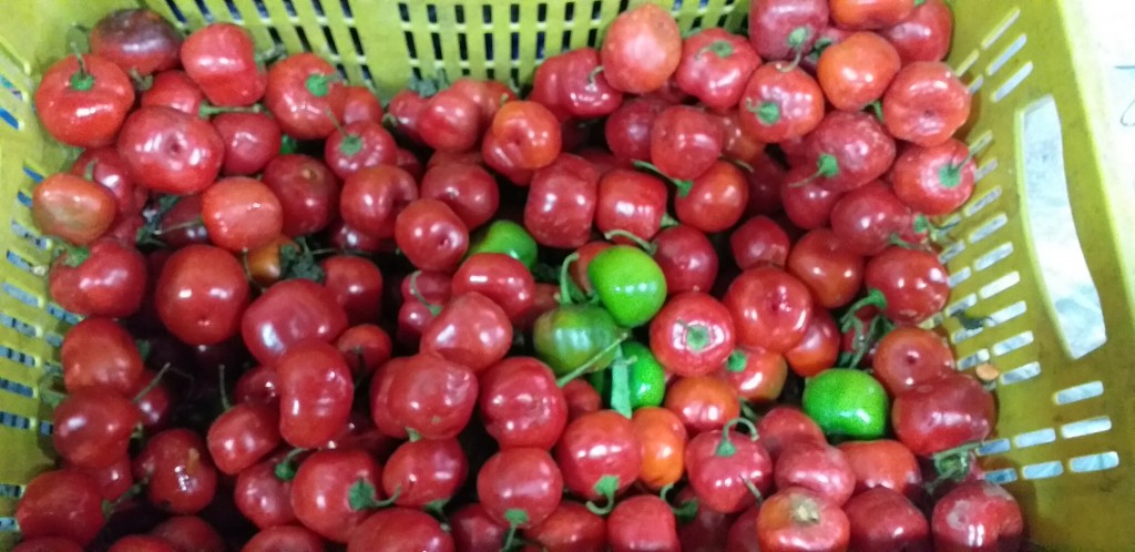 Aji picante