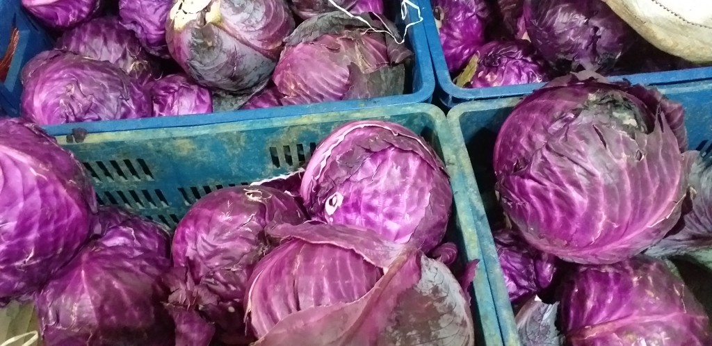Repollo morado
