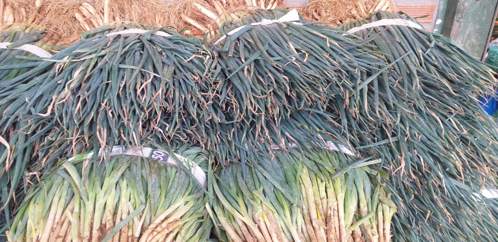Cebolla de rama