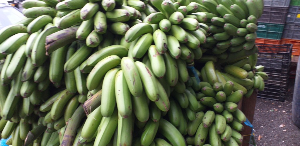 Platano harton