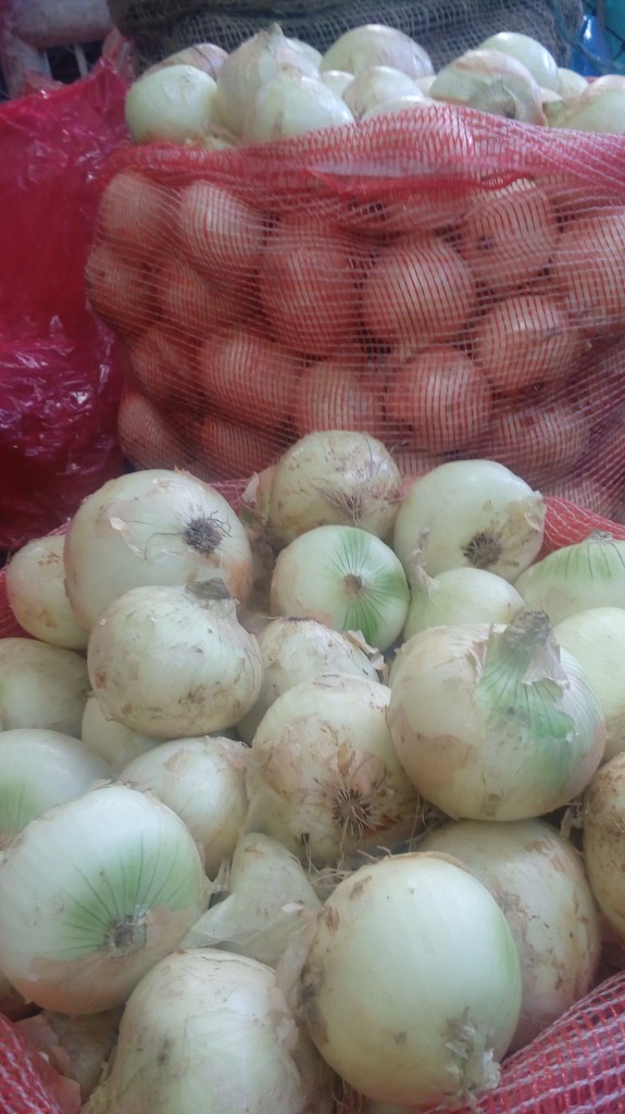Cebollas cabezona
