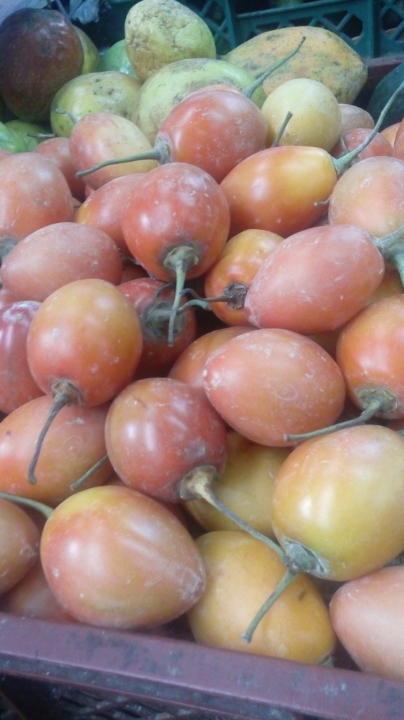 Tomate de árbol
