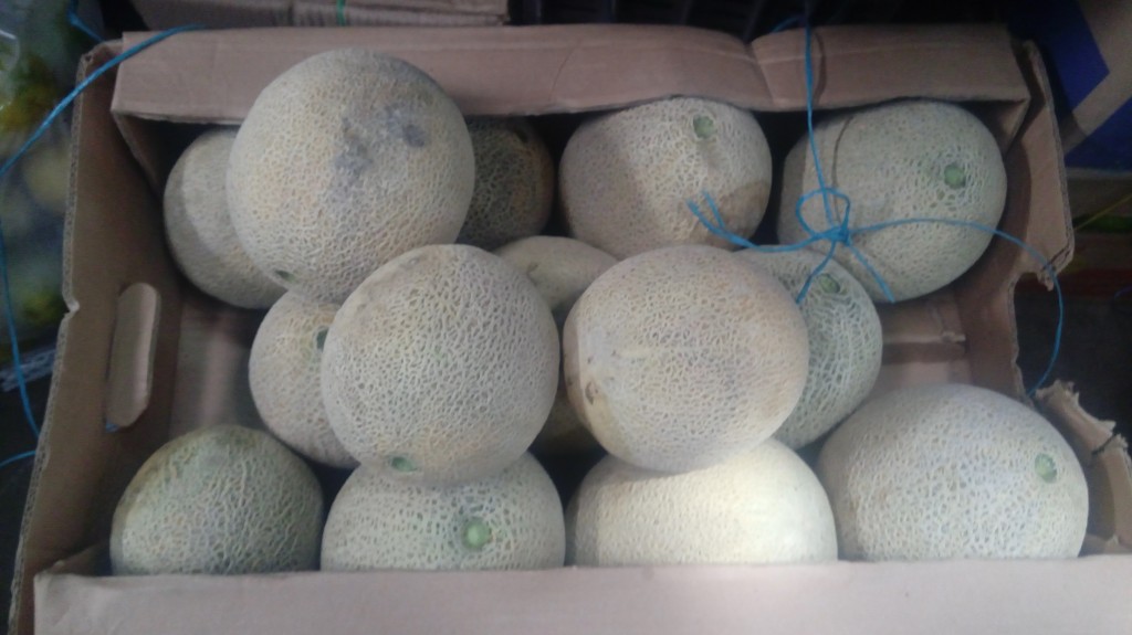 Melon