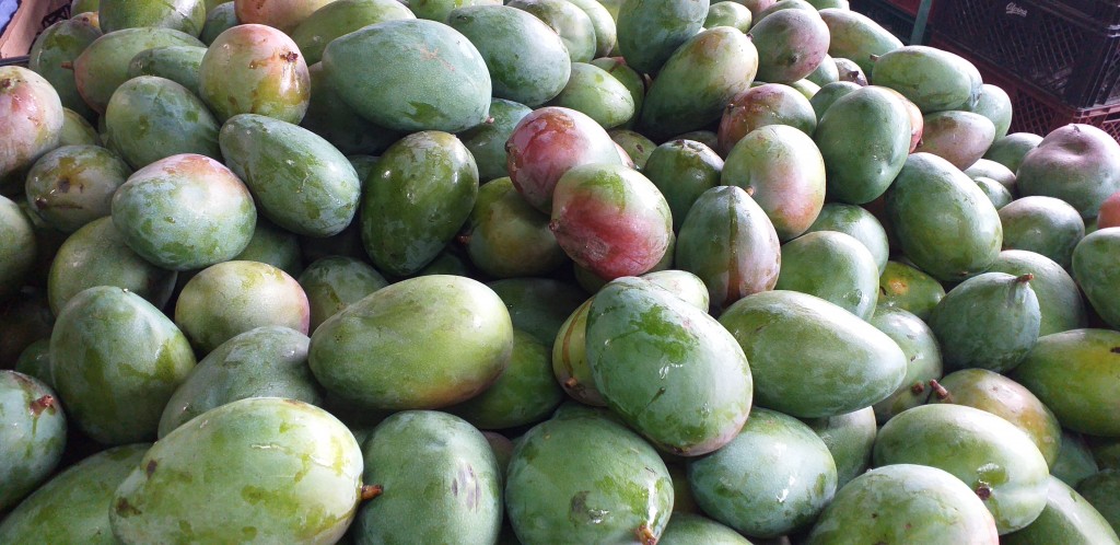 Mango farchi