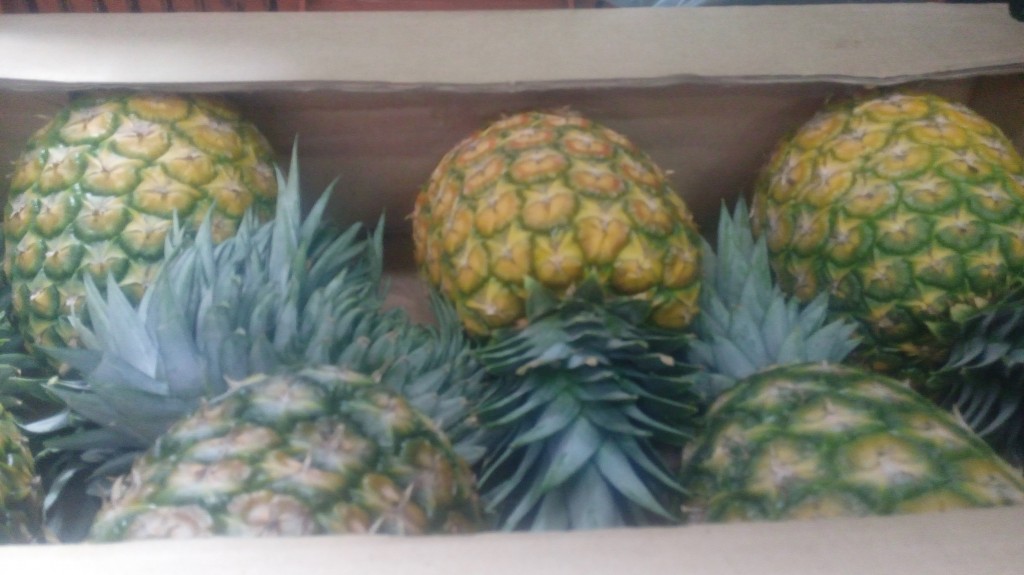Piña oro miel