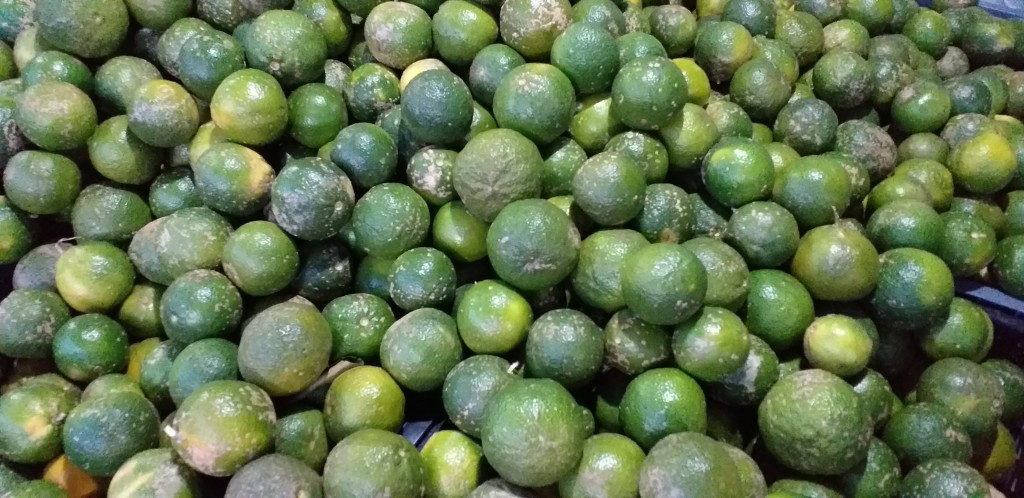 Limon mandarino