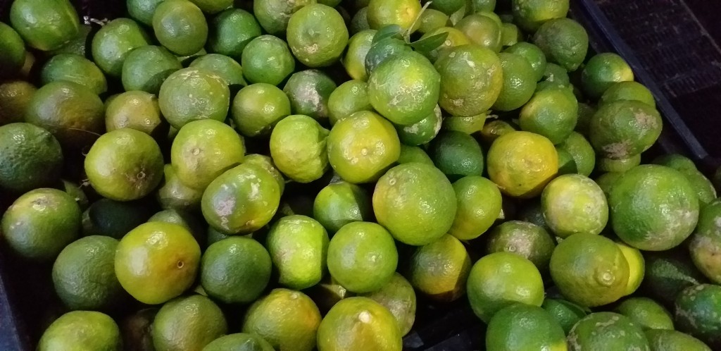 Limon tahiti