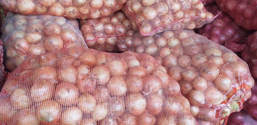 Cebolla blanca/50kg