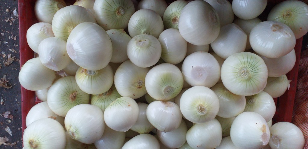 Cebolla blanca pelada