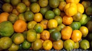 Mandarina oneco 2da