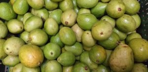 Guayaba pera pareja