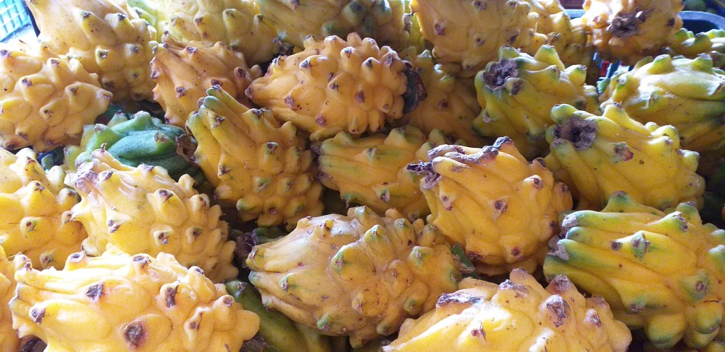 Pitahaya