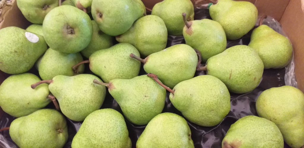 Pera gruesa