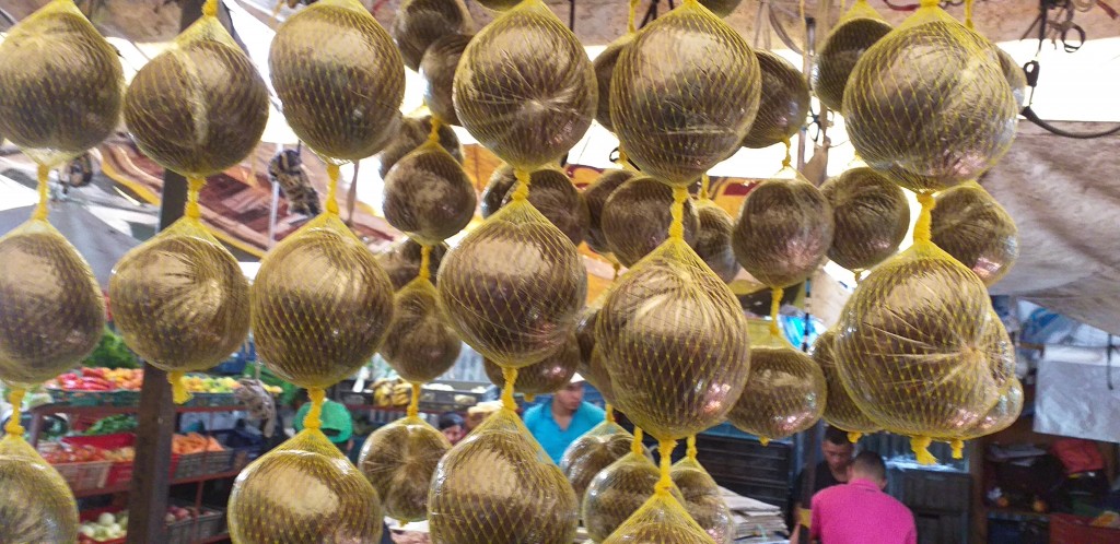 Borojo en malla