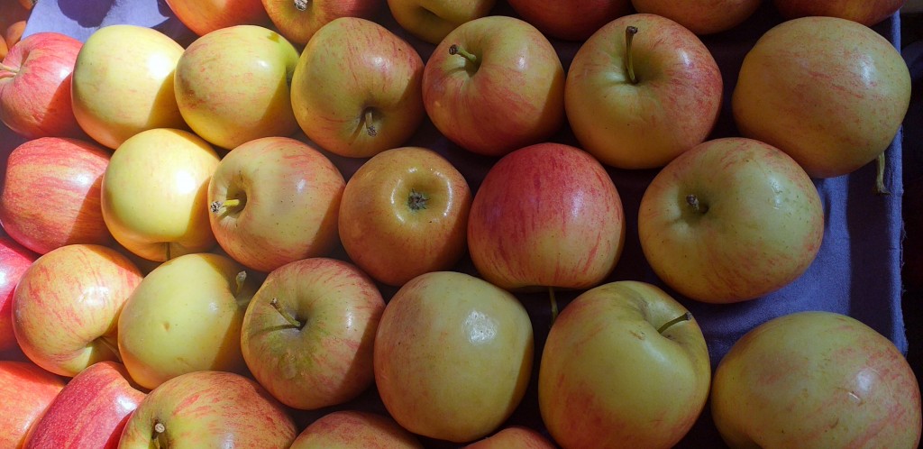 Manzana gala delgada