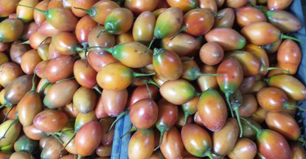 Tomate de arbol