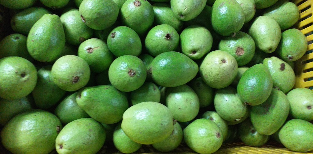 Guayaba pera