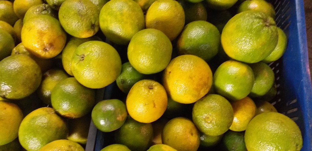 Naranja valencia