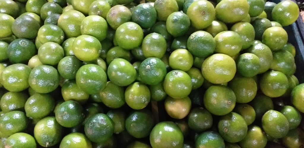 Limon tahiti