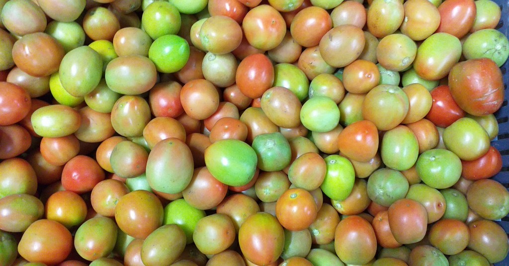 Tomate chonto delgado/23kg