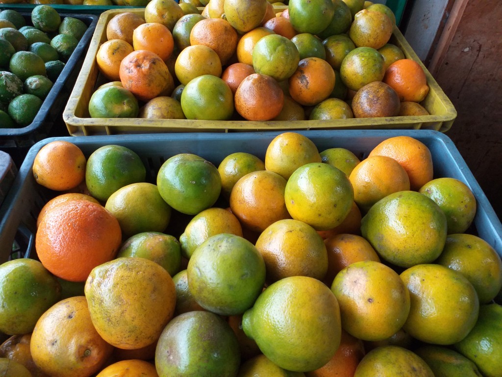 Naranja tangelo