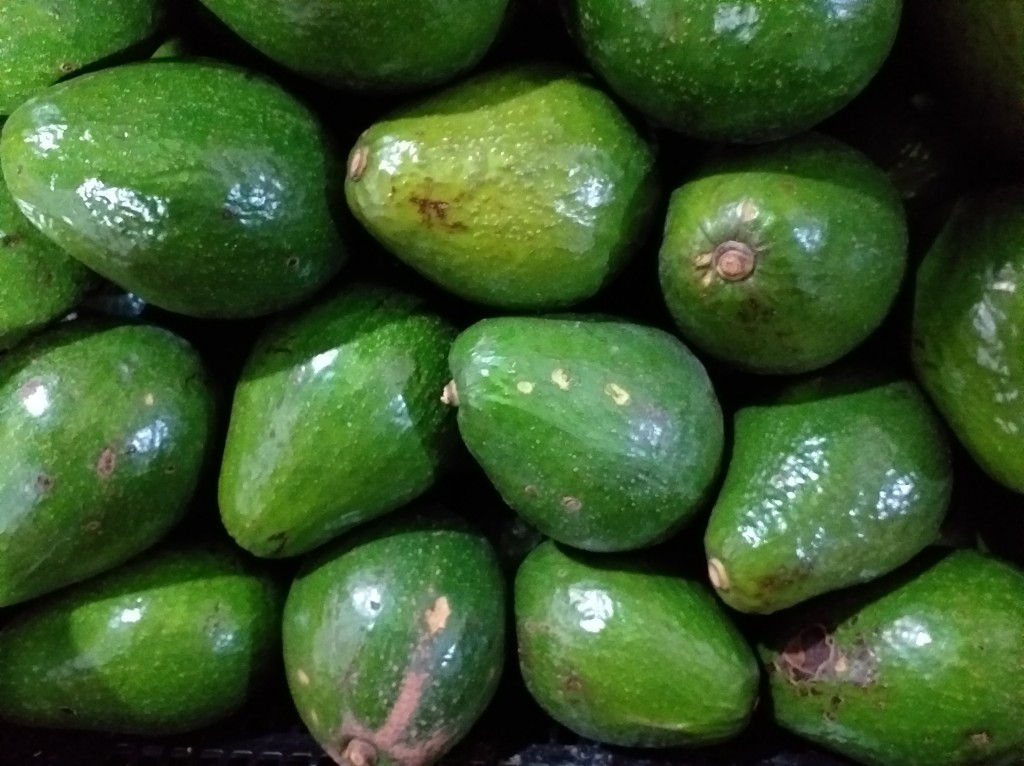 Aguacate