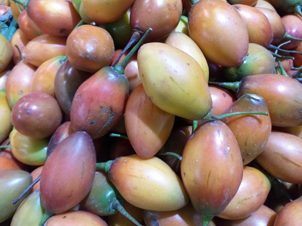 Tomate de arbol