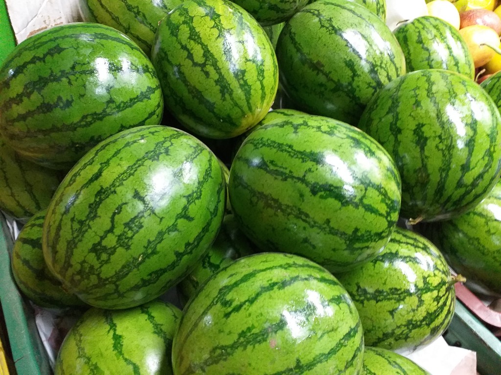 Sandia baby