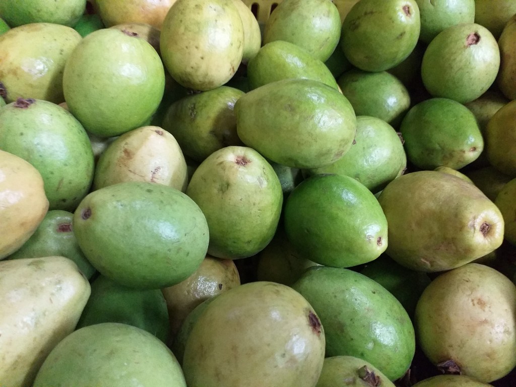 Guayaba
