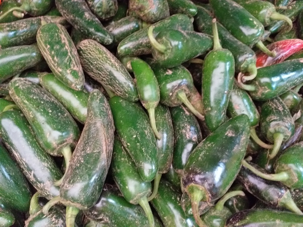 Aji ref jalapeño