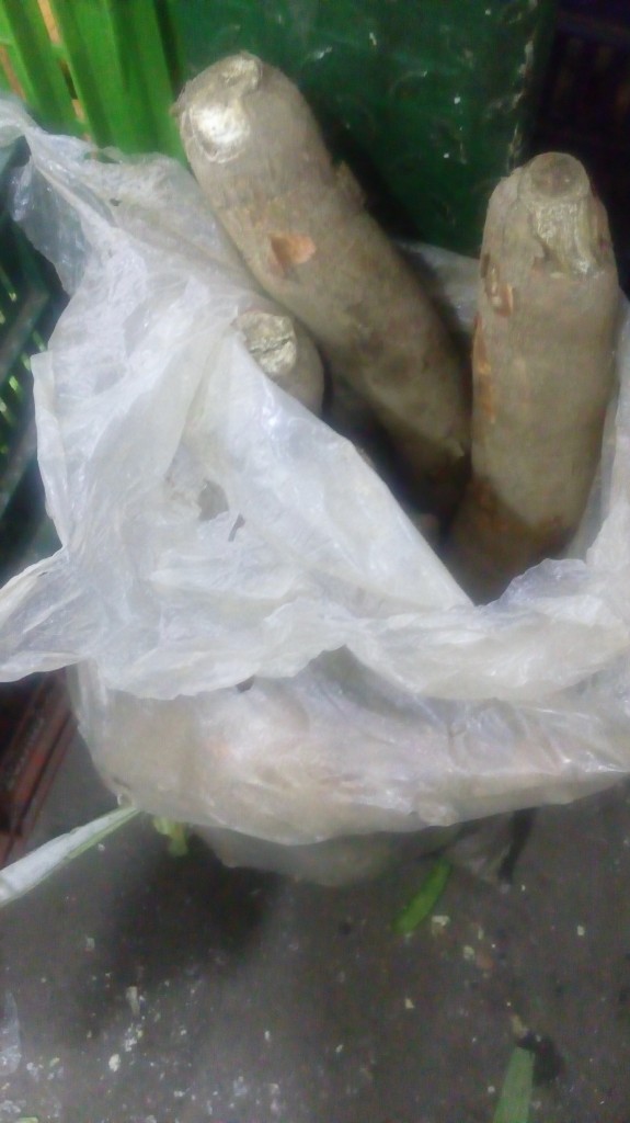 Yuca