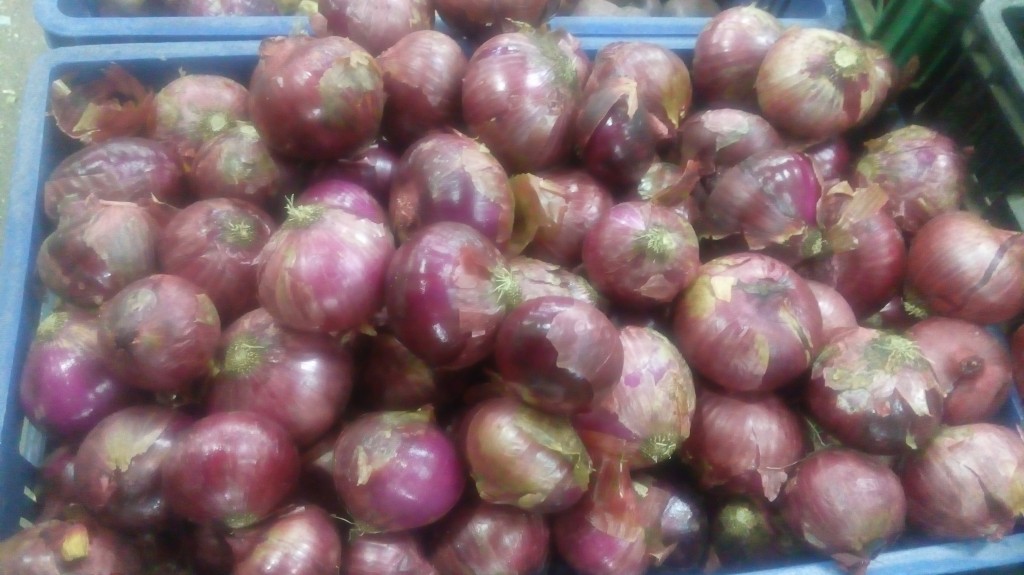 Cebolla cabezona morada