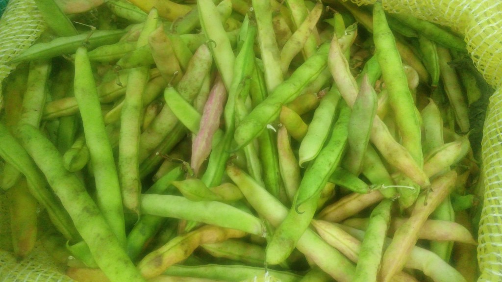 Frijol en cascara