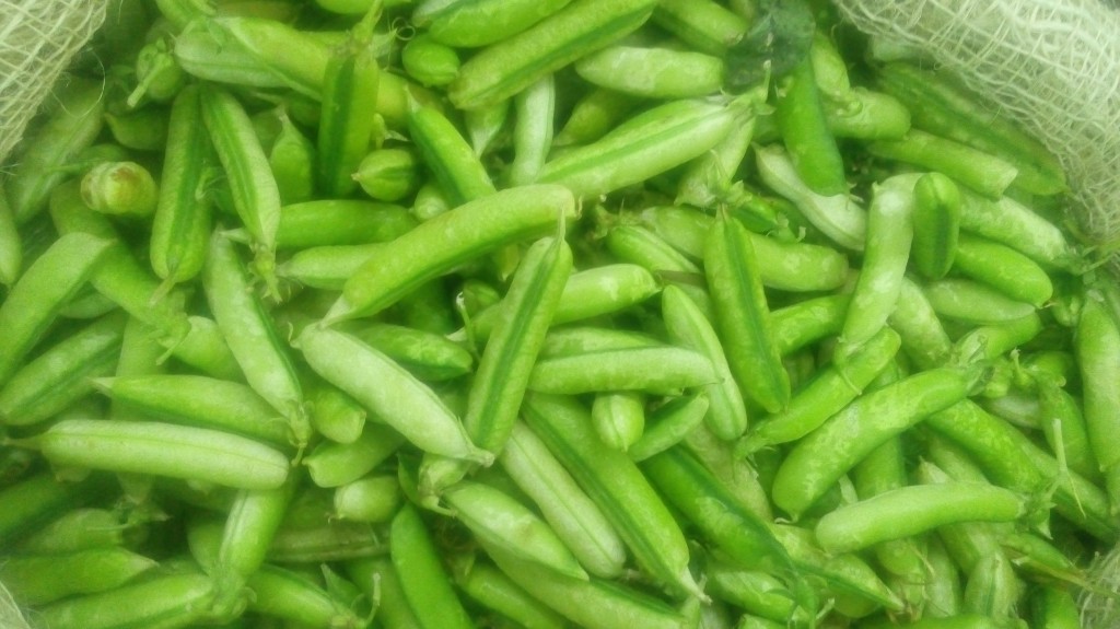 Arvejas en cascara