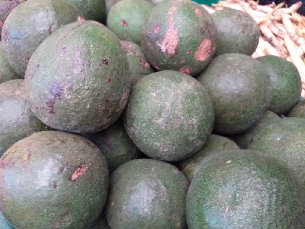 Aguacate
