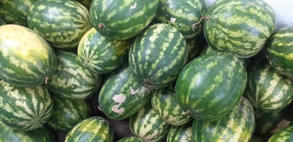 Sandia delgada